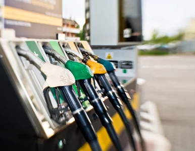 Miniatura: Niemcy szturmują polskie stacje. To efekt...