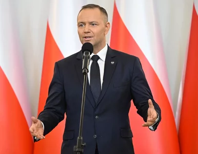 Miniatura: Traczyk-Stawska z najwyższym polskim...