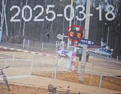 Miniatura: Robił zdjęcie dla ukochanej. Zatrzymał się...