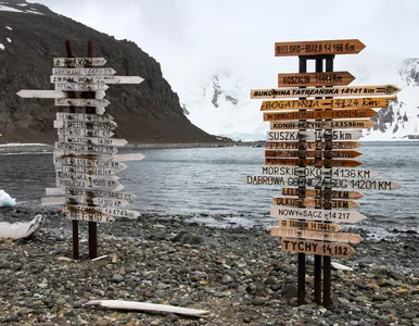 Miniatura: Polacy dokonali mrożącego krew w żyłach...