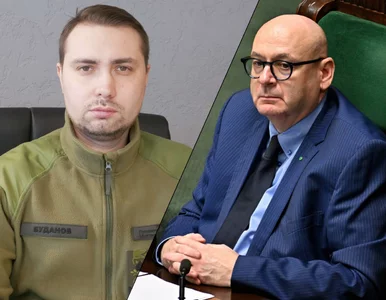 Miniatura: Zgorzelski nie wytrzymał po słowach...