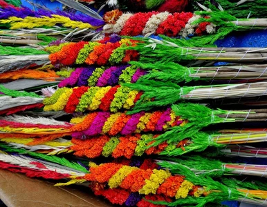 Miniatura: Takiej Niedzieli Palmowej nie było od...