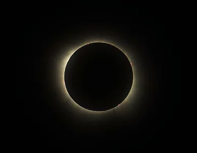 Miniatura: Słońce zostanie zakryte przez Księżyc....