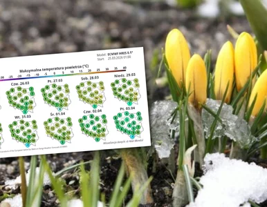 Miniatura: W Wielkanoc ulepimy bałwany? IMGW stawia...