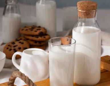 Miniatura: Mleko pasteryzowane, UHT czy bez laktozy?...