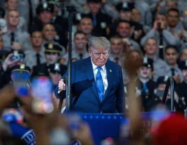 Miniatura: Jednego dnia Trump zraził dwa sojusznicze...