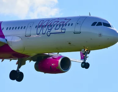 Miniatura: Idealna wiadomość dla Polaków. Wizz Air...