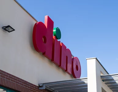 Miniatura: Lipcowy hit w Dino: herbata za grosz przy...