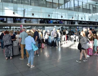 Miniatura: Nowy pomysł polskiego lotniska. Tak pomaga...