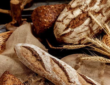 Miniatura: Nie chowaj chleba, gdzie popadnie. Zrób to...