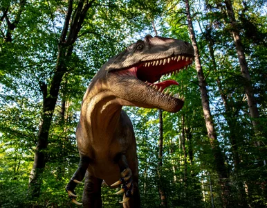 Miniatura: Ten park rozrywki istniał 14 lat. Teraz...