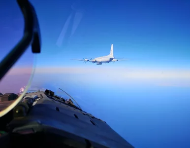 Miniatura: Więcej NATO na wschodniej flance? Polacy...