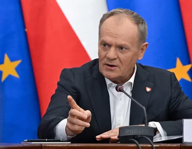 Miniatura: Koalicja Obywatelska wybrała...