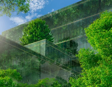 Miniatura: Zielone mieszkania to złoty zysk? „Biją...