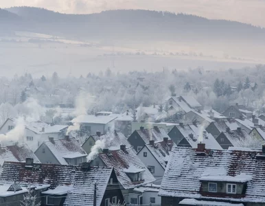 Miniatura: Podatek od nieruchomości w górę, ale nie...