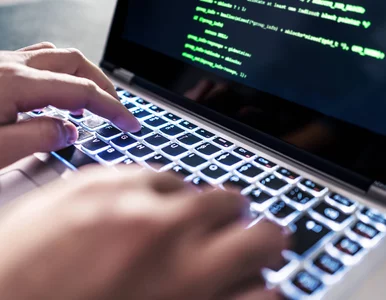 Miniatura: Mocne argumenty rządu za blokowaniem...