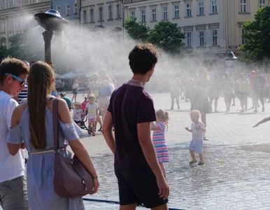Miniatura: To polskie miasto najszybciej się...