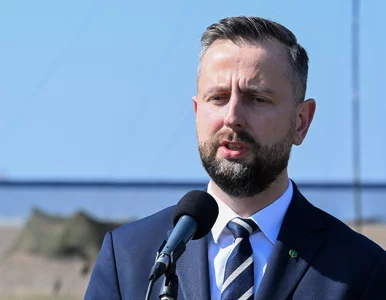 Miniatura: Polsce starczyłoby amunicji na 5 dni...