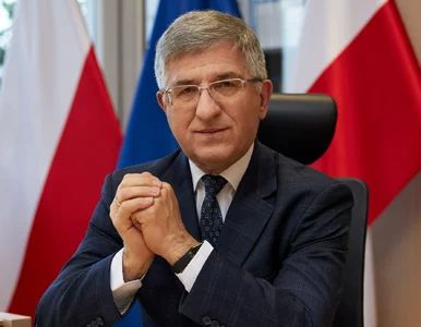 Miniatura: ZUS zbankrutuje? Wymowne słowa prezesa
