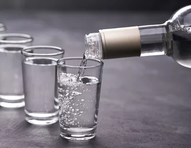 Miniatura: Polska na końcu listy Mercosur. Chronione...