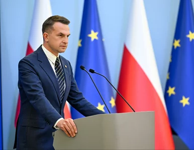 Miniatura: Polska deportuje kolejnych cudzoziemców....