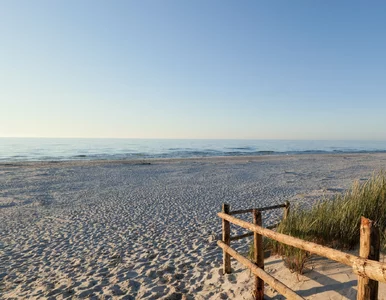 Miniatura: Plaża nad morzem bez parawanów. Wioska na...