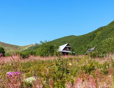 Miniatura: Najpiękniejsza wakacyjna atrakcja Tatr...
