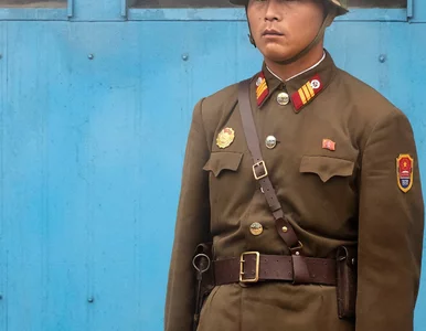 Miniatura: Uciekł z Korei Północnej mimo groźby kary...