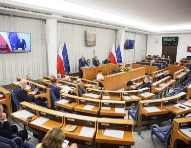 Miniatura: Senat zdecydował ws. inicjatywy...