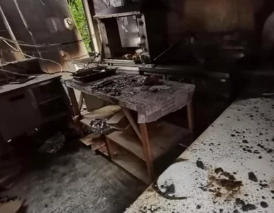 Miniatura: W budce z kurczakami wybuchła butla z...