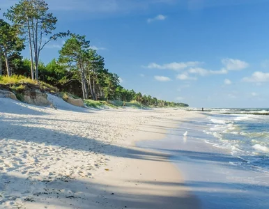 Miniatura: Ta plaża nad polskim morzem zachwyca...