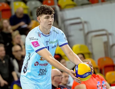 Miniatura: Błyszczał u Nikoli Grbicia. Teraz młody...