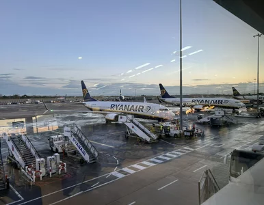 Miniatura: Tego dnia nie odleci żaden samolot...