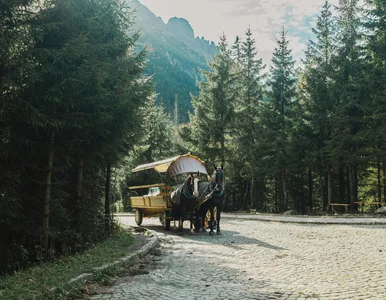 Miniatura: Kilka dni utrudnień w Tatrach. Tędy nad...