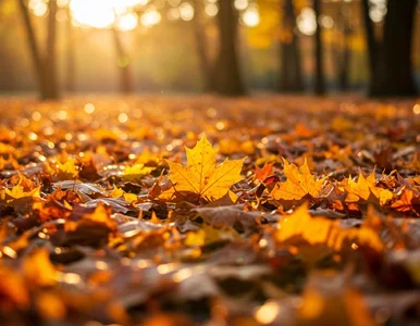 Miniatura: Ciepły front dotrze do Polski. Synoptycy...