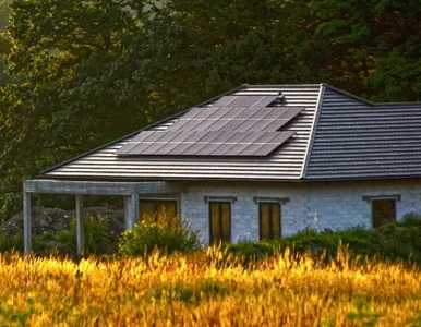 Miniatura: Strach, podstęp i drobny druk....