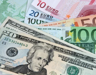 Miniatura: Kursy walut 16 kwietnia 2025. Po ile...
