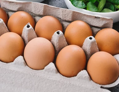 Miniatura: Trzymasz tu jajka? Fatalny błąd! Robi to...