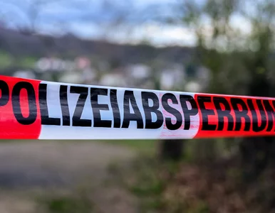 Miniatura: Brutalny atak przed sądem. To zemsta...