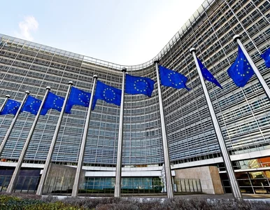 Miniatura: Mercosur wchodzi do Europy. KE wyszło z...