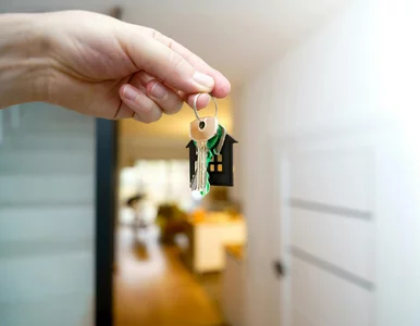 Miniatura: Przeludnienie, „gniazdownictwo” i drogie...