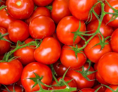 Miniatura: To warzywo warto jeść przez cały rok....