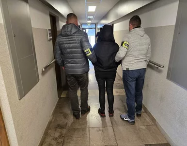 Miniatura: Wyłudziły prawie 40 mln zł na edukację. 13...