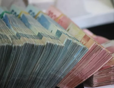 Miniatura: 177 audytów i nieprawidłowości na 120 mld...