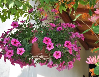 Miniatura: Weź po łyżeczce tych 3 kuchennych...