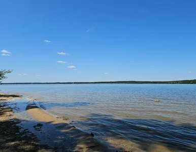 Miniatura: Zalew otoczony lasami i piaszczystą plażą....
