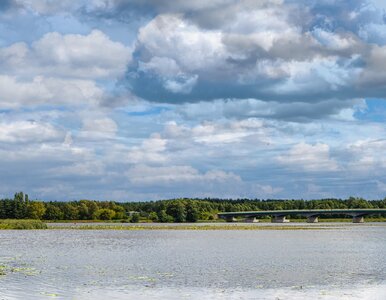 Miniatura: Dom zatopiony w naturze