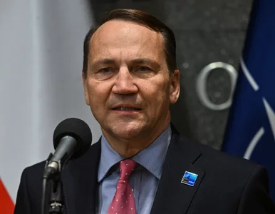 Miniatura: Sikorski zabrał głos ws. ważnej rocznicy....