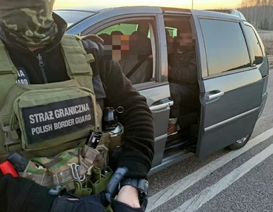 Miniatura: Tusk i Merz odgrywają polityczny spektakl?...