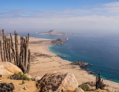 Miniatura: Niesamowite pustynie nad oceanem. Naukowcy...